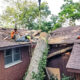 Emergency Tree Service