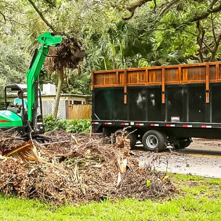 Stump Man Debris Removal 1