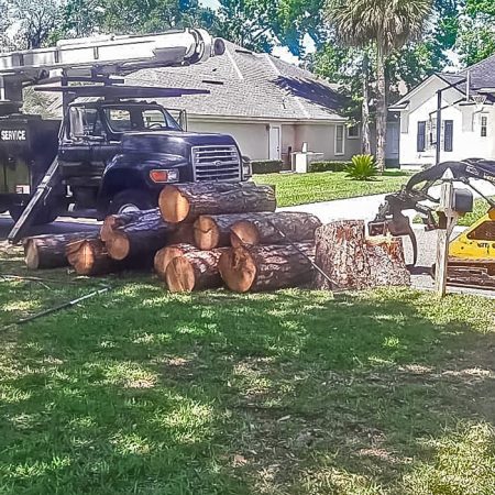 Stump Man Debris Removal 3
