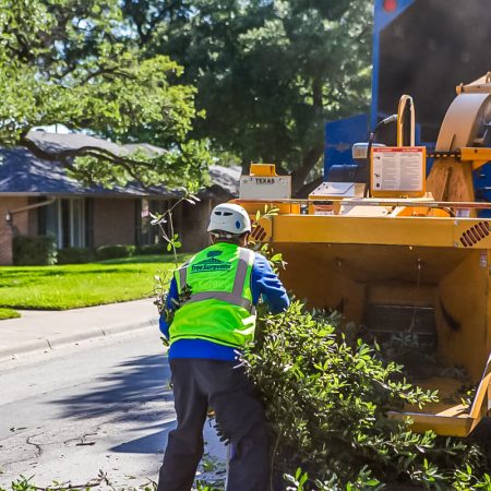 Stump Man Debris Removal 5