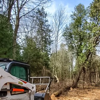 Stump Man Tree Service Louisiana Lot Clearing