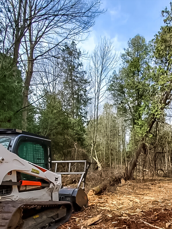 Stump Man Tree Service Louisiana Lot Clearing