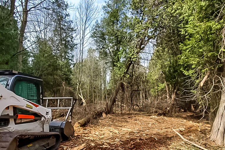 Lot Clearing 1