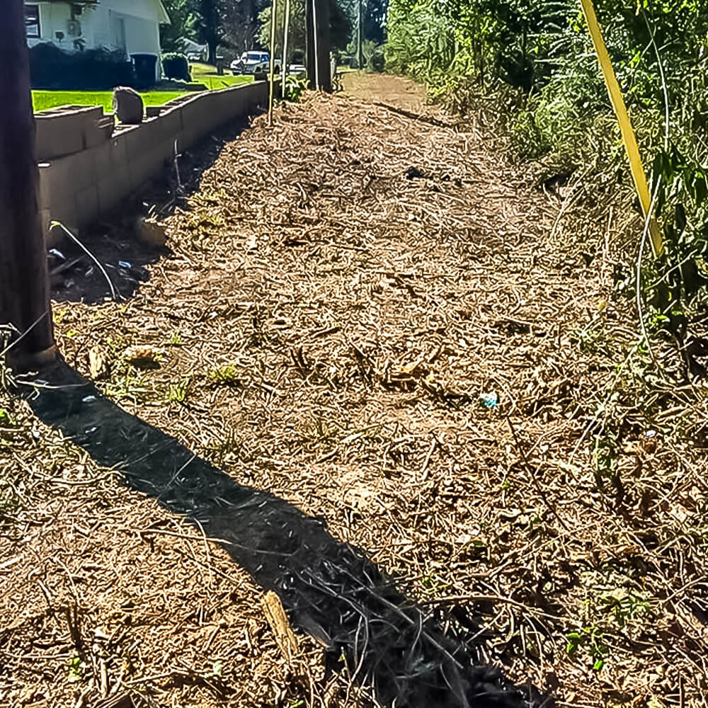 Lot Clearing 5
